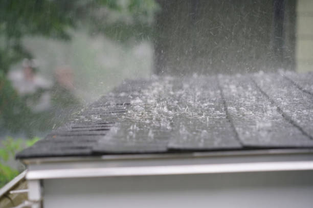 Best Flat Roofing  in Cokato, MN